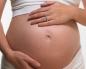 Как растет живот во время беременности