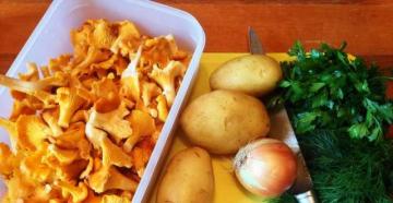 Рецепты приготовления жареной картошки с лисичками