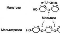 Безкисневе окислення глюкози включає два етапи Аеробний гліколіз атф