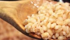 What is useful barley and the secrets of its preparation