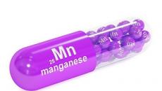 Mangan u proizvodima Mangan za ljudski organizam u proizvodima