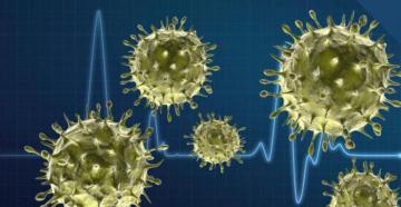 Koji se virusi nazivaju bakteriofazi?
