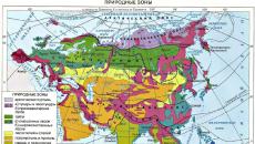 L'Eurasie continentale La faune et la flore de l'Eurasie continentale