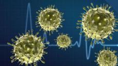 Kateri virusi se imenujejo bakteriofagi?